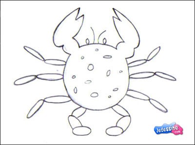crabe4