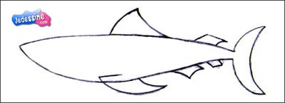 requin2