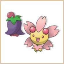 Ceriflor - Coloriage - Coloriage POKEMON