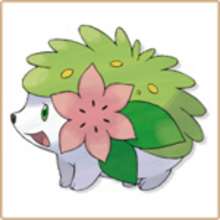 Coloriage de Shaymin - Coloriage - Coloriage POKEMON - Coloriages POKEMONS