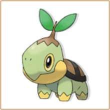 Tortipouss - Coloriage - Coloriage POKEMON