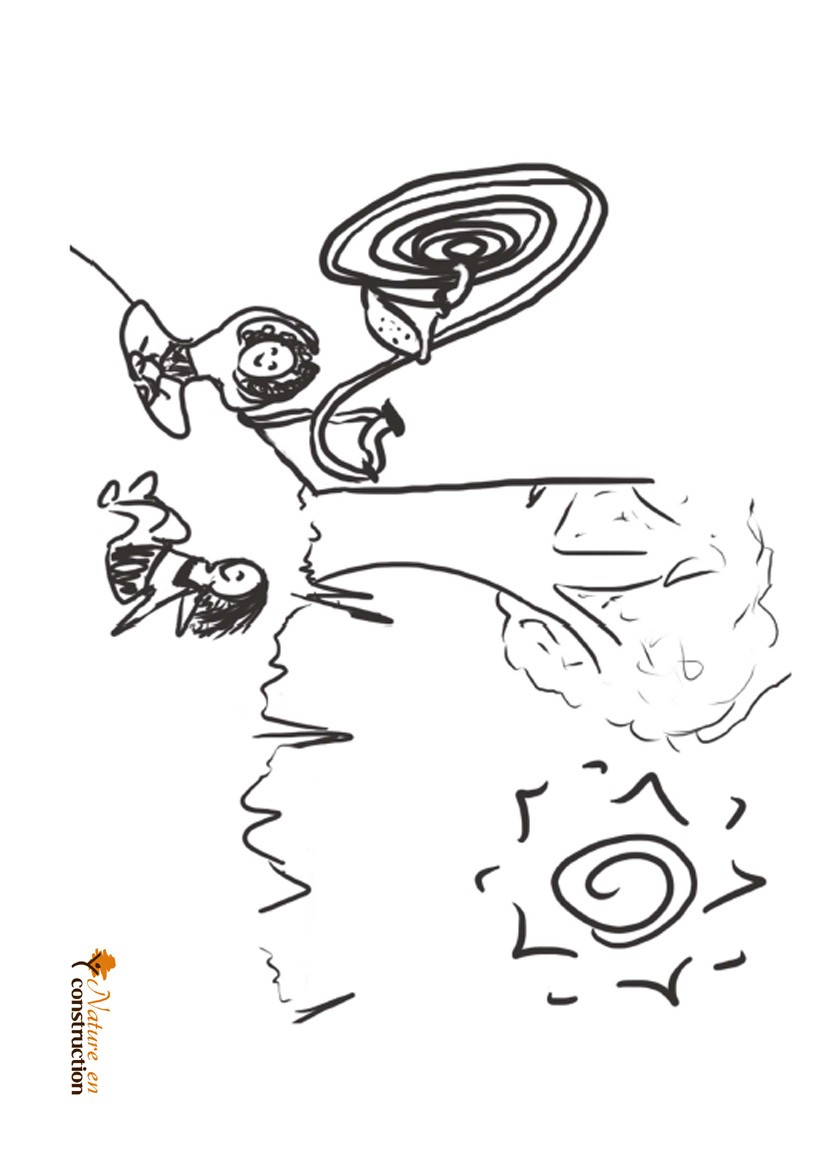 COLO3