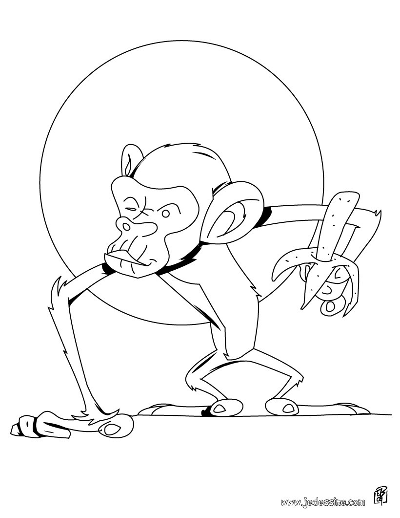 repas du singe