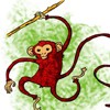 Coloriage SINGE - Coloriage ANIMAUX - Coloriage