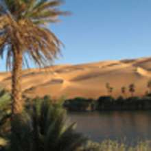 Les Oasis du d�sert : mirage ou r�alit�? - Lecture - Reportages pour enfants - G�ographie
