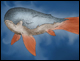 BALEINES