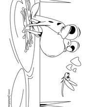 Coloriage d'une grenouille amoureuse - Coloriage - Coloriage ANIMAUX - Coloriage ANIMAUX SAUVAGES - Coloriage GRENOUILLE - Coloriage GRENOUILLE A IMPRIMER