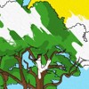 Coloriage ARBRE - Coloriage NATURE - Coloriage