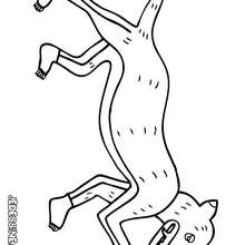 Coloriage d'un chien - Coloriage - Coloriage ANIMAUX - Coloriage ANIMAUX PRE HISPANIQUES