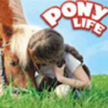 Jeu vid�o: PONY LIFE  (ao�t 2009) - Jeux - L'actualit� en Jeux Videos