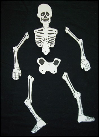 Le squelette d'Halloween - Activités - BRICOLAGE HALLOWEEN - Le squelette articulé d'Halloween