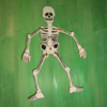 Le squelette d'Halloween