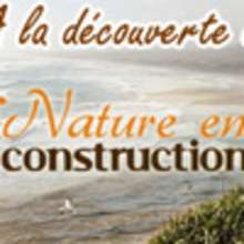 Découvre le N°4 de TIPI KIWI !