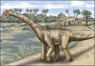 sauropode geant