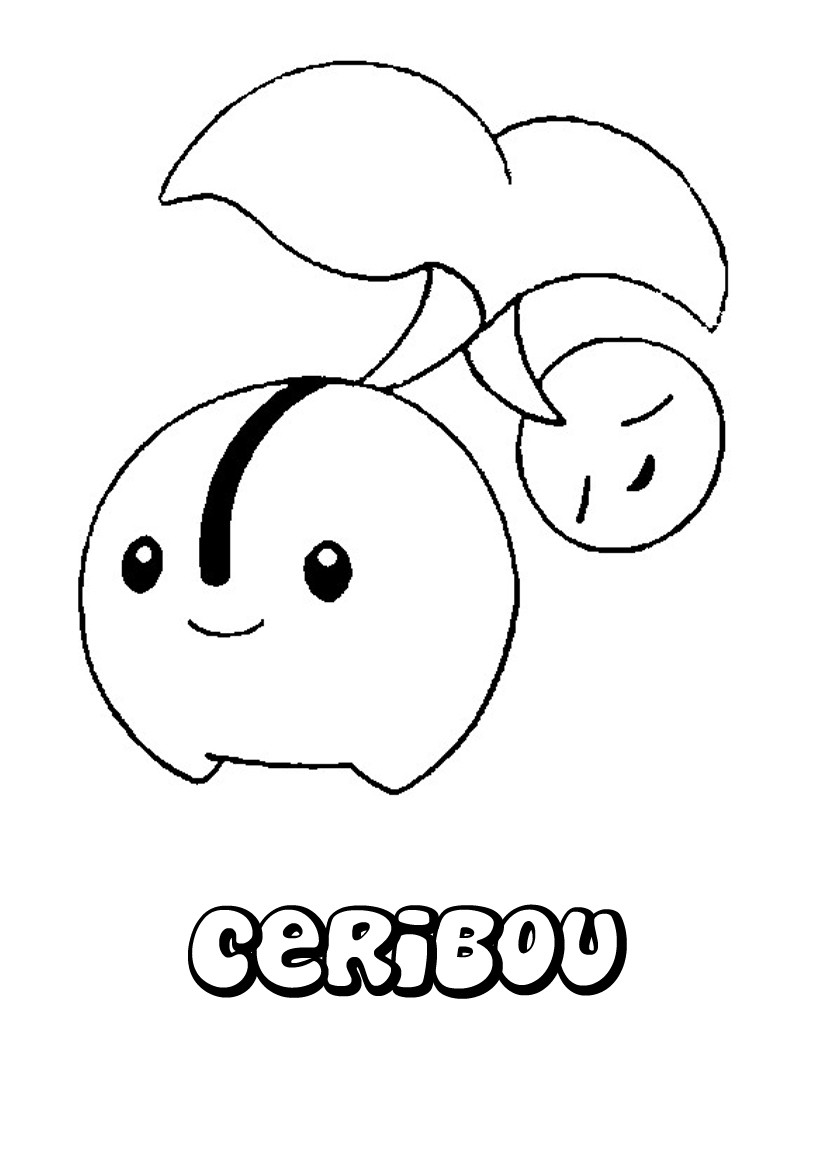 ceribou