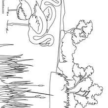 Coloriage de La Camargue - Coloriage - Coloriage HISTOIRE ET PAYS - Coloriage FRANCE - Coloriage MONUMENTS FRANCAIS