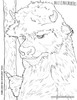 Coloriage de Bull - Coloriage - Coloriage PERSONNAGE FILM - Coloriage de MAX et les MAXIMONSTRES