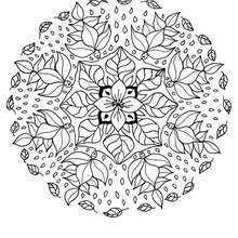 Coloriage des elfes des fleurs