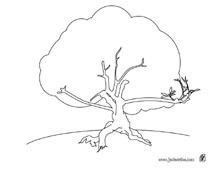 arbre2