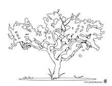 arbre3