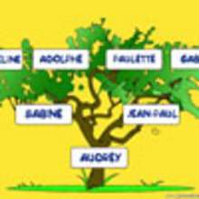 Comment faire ton arbre g�n�alogique. - Activit�s - Bricolage ENFANT - FABRIQUE TON ARBRE GENEALOGIQUE