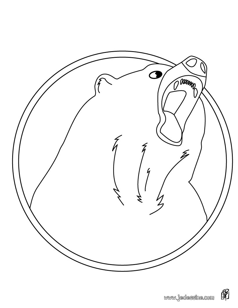 Coloriages Coloriage D Un Ours Rigolo Fr Hellokids Com