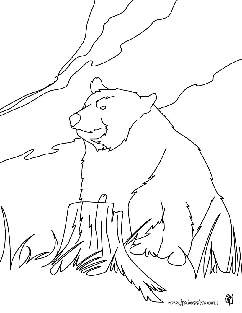 coloriage d un vieil ours