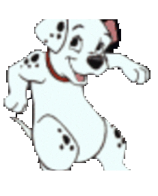 chien chien