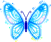 Papillons - Rain-Blog