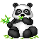 Pandi, Panda .... - Rain-Blog