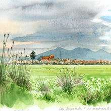 Dessin NATURE - Dessin