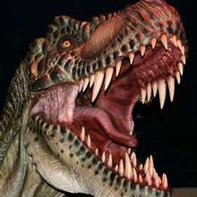 Coloriage DINOSAURE - Coloriage ANIMAUX - Coloriage
