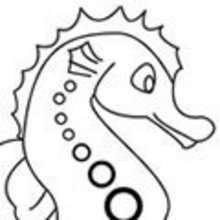 Coloriage d'un hippocampe