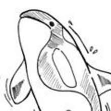 Coloriage ORQUE - Coloriage ANIMAUX - Coloriage