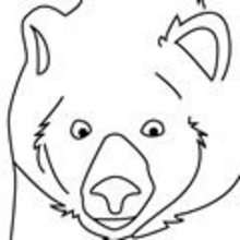 Egalement dans Coloriage OURS