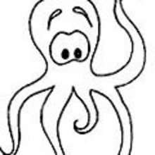 Coloriage PIEUVRE - Coloriage ANIMAUX - Coloriage