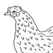 Coloriage d'une poule et d'un oeuf