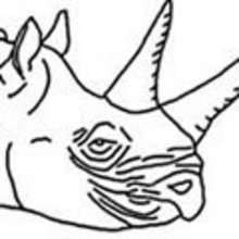 Coloriage RHINOCEROS - Coloriage ANIMAUX - Coloriage