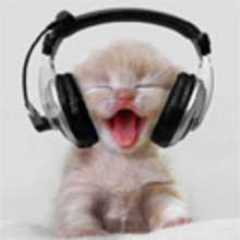 Vid�os HUMOUR - Vid�os