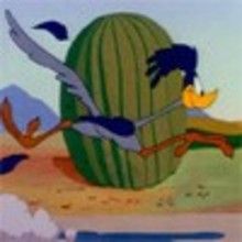 Le coup de poing à ressort - Vidéos - Vidéos de DESSINS ANIMES - Vidéos ROAD RUNNER