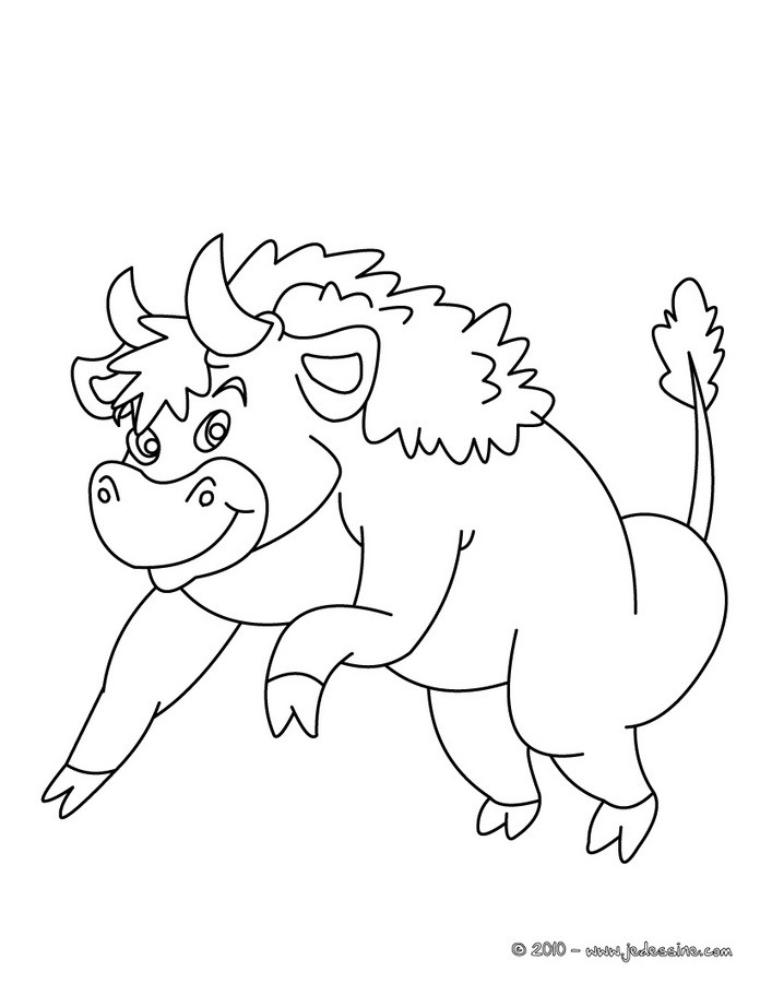 Coloriage d'un BISON