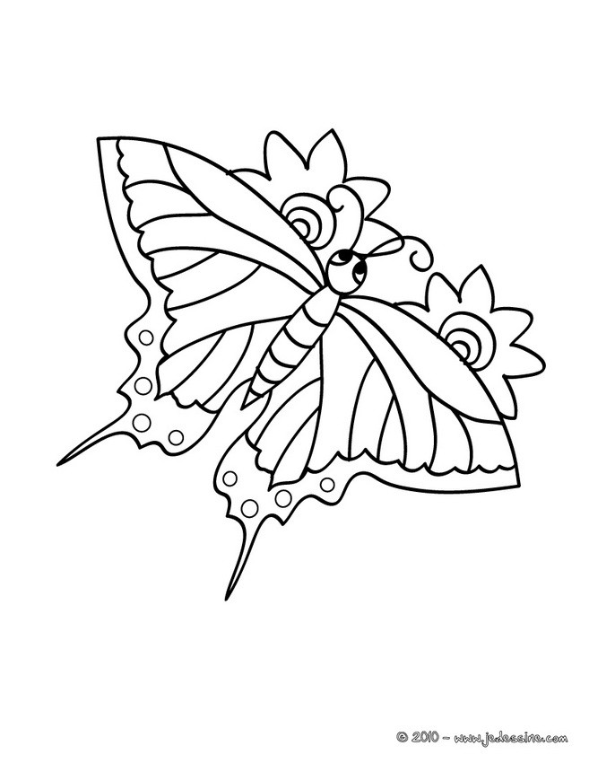Coloriage d'un PAPILLON dans les airs