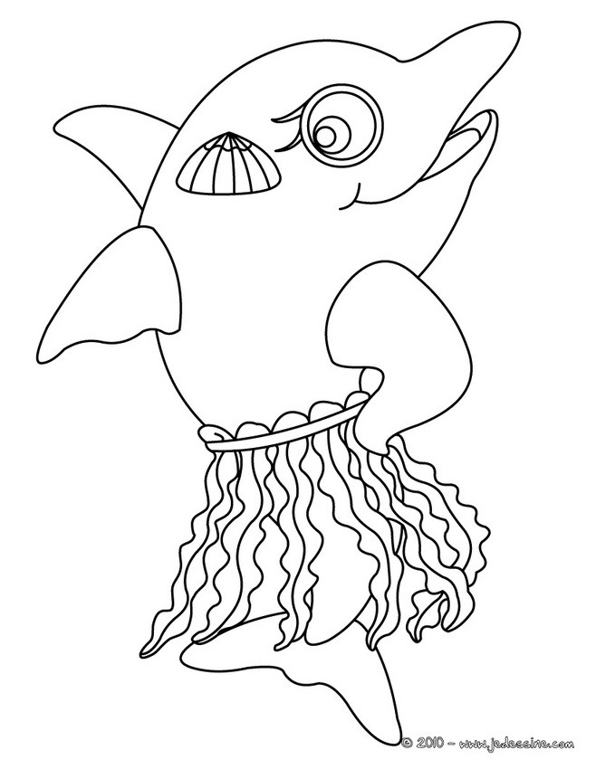 Coloriage d'un joli DAUPHIN