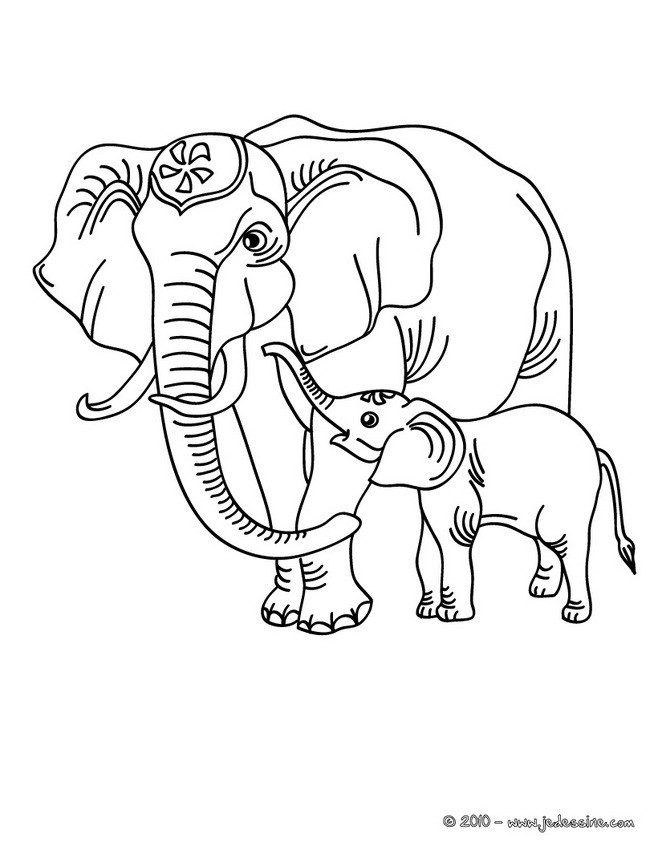 Coloriage d'une maman ELEPHANT