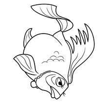 Un poisson rigolo