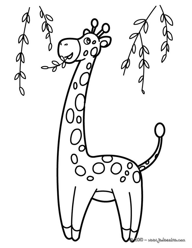 Coloriages coloriage d'une girafe dans les arbres  fr.hellokids.com