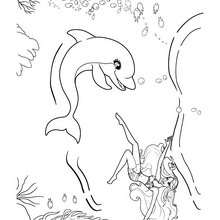 Zuma le dauphin - Coloriage - Coloriage BARBIE - Coloriage BARBIE ET LE SECRET DES SIRÈNES - Coloriage de ZUMA le dauphin