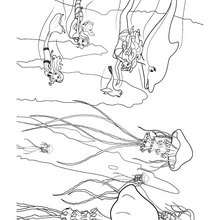 Les méduses géantes - Coloriage - Coloriage BARBIE - Coloriage BARBIE ET LE SECRET DES SIRÈNES - Coloriage de OCEANA