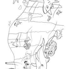 Zuma em�ne Merliah - Coloriage - Coloriage BARBIE - Coloriage BARBIE ET LE SECRET DES SIR�NES - Coloriage de ZUMA le dauphin