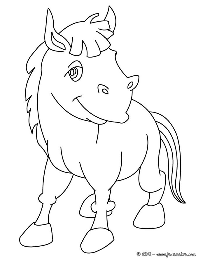 Coloriage d'un ANE